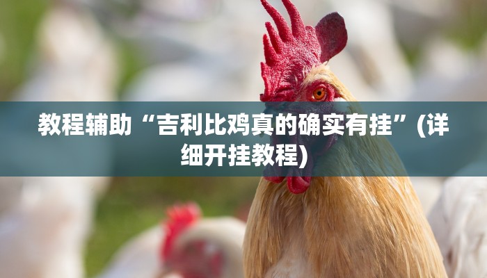 实测教程”新世界拼三张可以开挂吗”(原来确实是有挂)