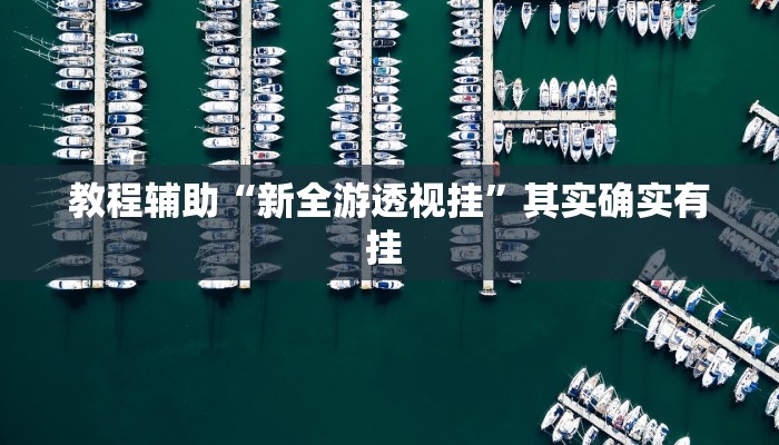 实测教程”wepoker透视挂作弊下载”(原来确实是有挂)