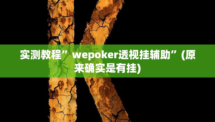 教程辅助“聚友联盟开挂辅助软件”其实确实有挂 