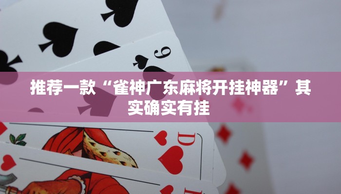 辅助神器“决战血流麻将万能开挂器通用版”(详细开挂教程)