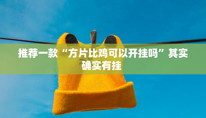 实测教程”AApoker助赢神器”(原来确实是有挂)