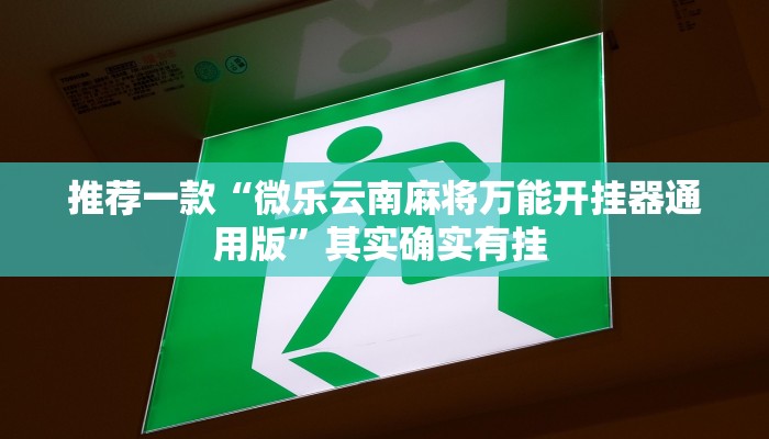 实测教程”跑得快开挂怎么使用的”(原来确实是有挂)