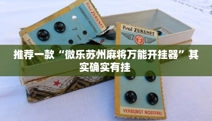 实测教程”财神十三张开挂透视”(原来确实是有挂)