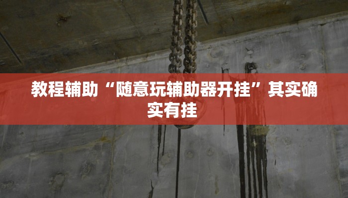 辅助神器“白金岛三打哈开挂方法”其实确实有挂 