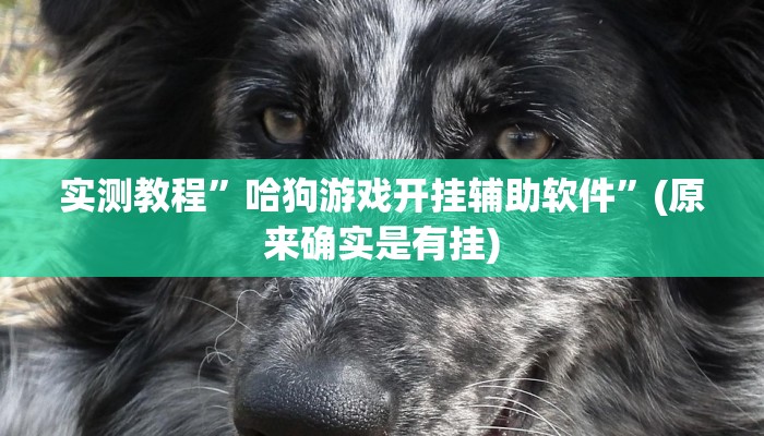 教程辅助“网易棋牌开挂神器”其实确实有挂 