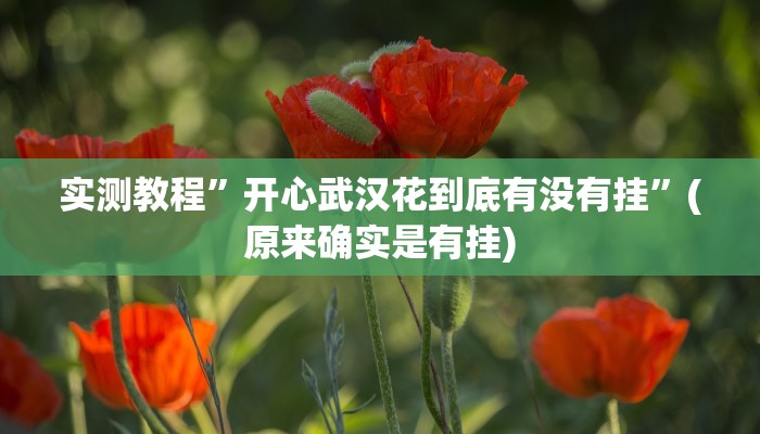 教程辅助“新畅游互娱是不是有透视软件”(详细开挂教程)