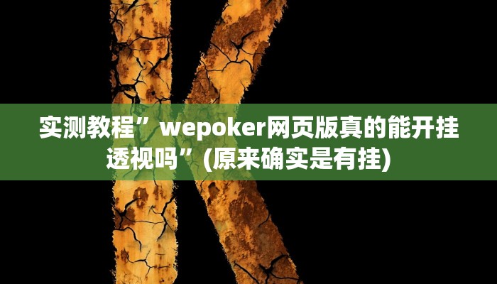 辅助神器“宝马互娱透视”(详细开挂教程)