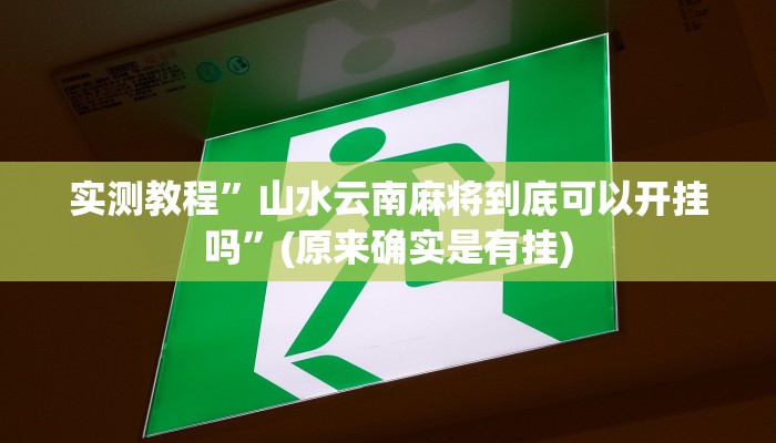 实测教程”福建大玩家是不是有透视挂”(原来确实是有挂)