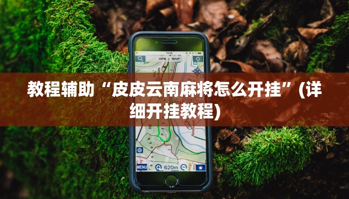 实测教程”wepoker万能辅助怎么开挂”(原来确实是有挂)