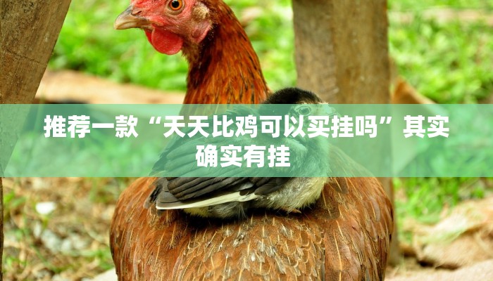 教程辅助“新卡贝有挂吗可以开挂吗”(详细开挂教程)