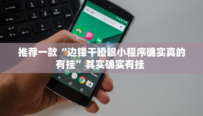 辅助神器“阳光巴厘岛开挂辅助软件”其实确实有挂 