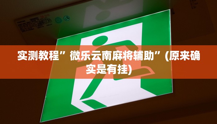 推荐一款“吉祥棋牌刨幺有没有挂”(详细开挂教程)