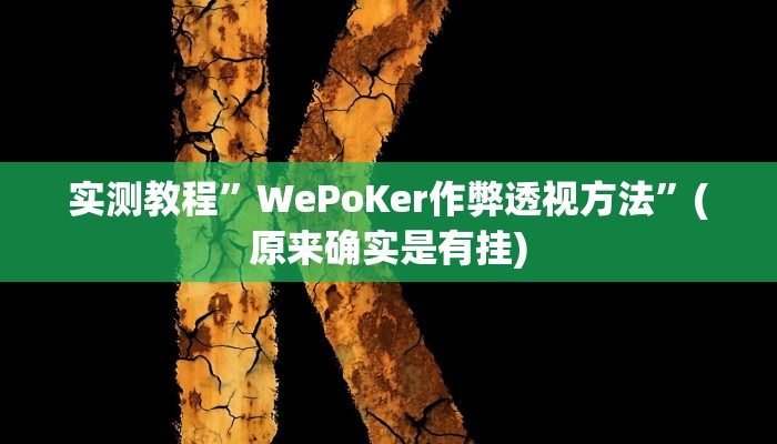 实测教程”微信小程序麻将开挂神器应用”(原来确实是有挂)