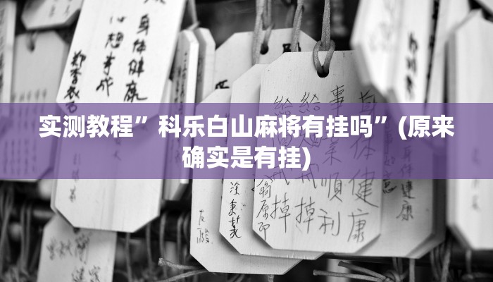 辅助神器“边锋辽宁游戏确实真的有挂”(详细开挂教程)