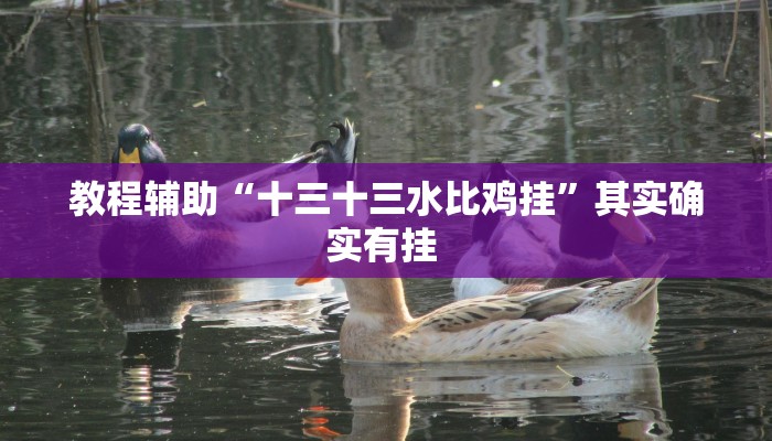 实测教程”趣玩贵州麻将通用挂”(原来确实是有挂)