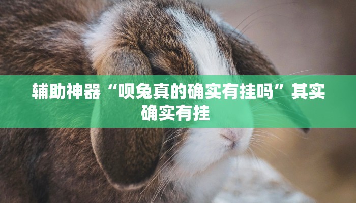 实测教程”(hhpoker)辅助开挂教程”(原来确实是有挂)