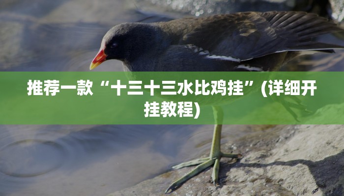 实测教程”德州wepoker挂怎么安装”(原来确实是有挂)