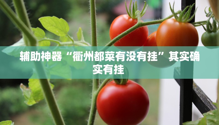 教程辅助“开心十三张开挂方法”其实确实有挂 