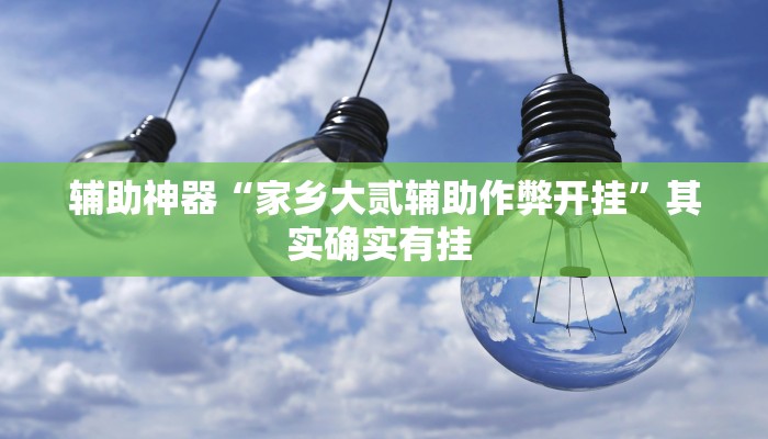 辅助神器“家乡大贰辅助作弊开挂”其实确实有挂 