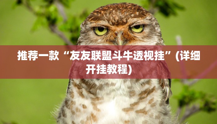 推荐一款“友友联盟斗牛透视挂”(详细开挂教程)