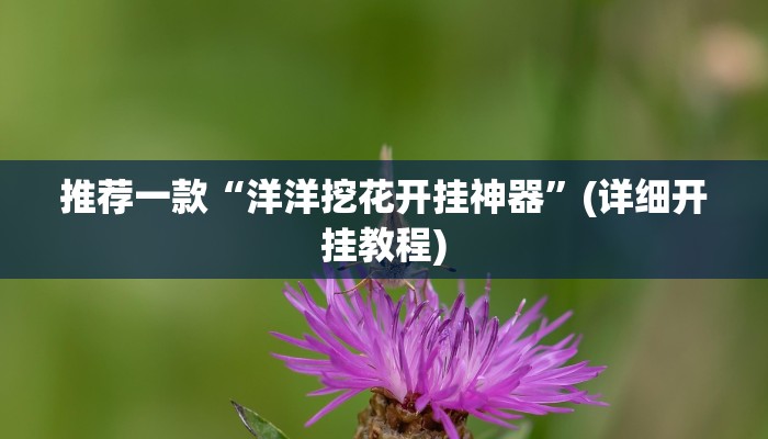 实测教程”八闽十三张通用挂”(原来确实是有挂)