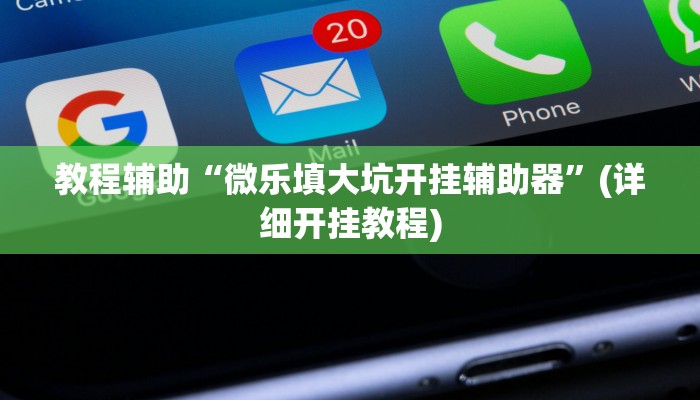 教程辅助“微乐填大坑开挂辅助器”(详细开挂教程)
