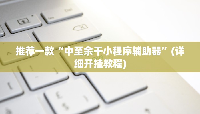实测教程”“wpk透视插件””(原来确实是有挂)