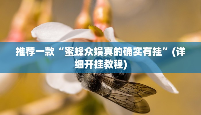 推荐一款“开心联盟开挂神器”其实确实有挂 