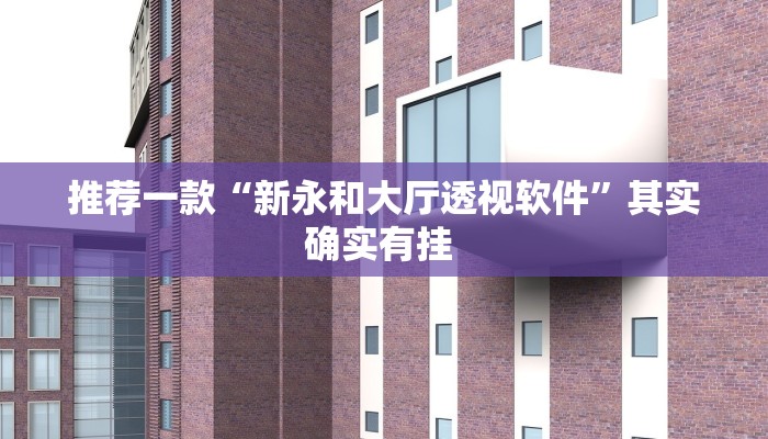 推荐一款“新永和大厅透视软件”其实确实有挂 