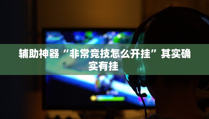 辅助神器“非常竞技怎么开挂”其实确实有挂 