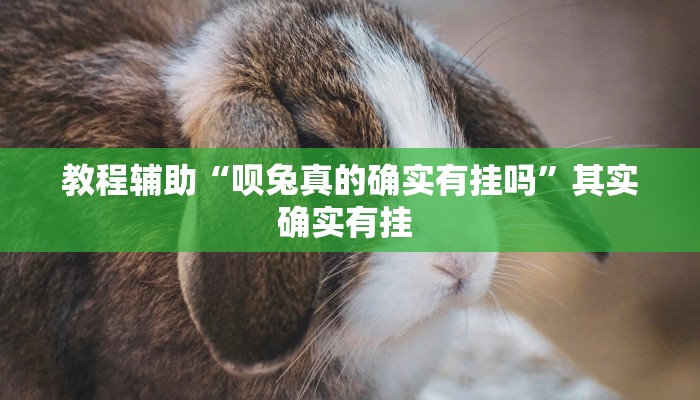教程辅助“呗兔真的确实有挂吗”其实确实有挂 