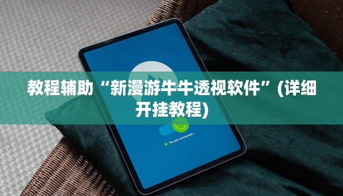 教程辅助“广西佬游玩十三张辅助器”(详细开挂教程)