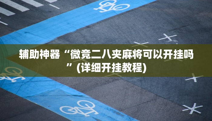 辅助神器“微竞二八夹麻将可以开挂吗”(详细开挂教程)