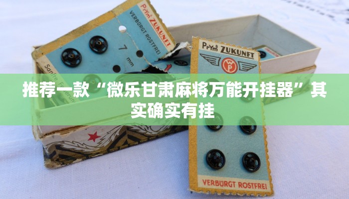 教程辅助“博雅红河棋牌个旧麻将可以开挂”(详细开挂教程)
