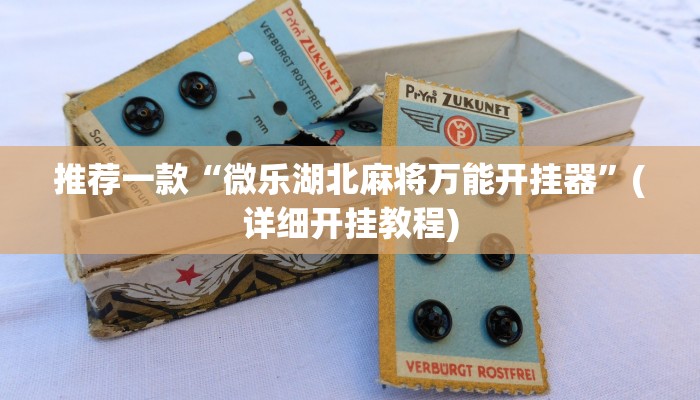 辅助神器“闲逸碰胡辅助软件下载”其实确实有挂 