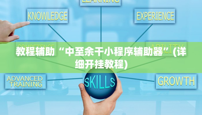 教程辅助“中至余干小程序辅助器”(详细开挂教程)