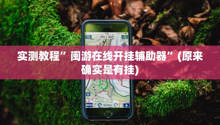 实测教程”闽游在线开挂辅助器”(原来确实是有挂)