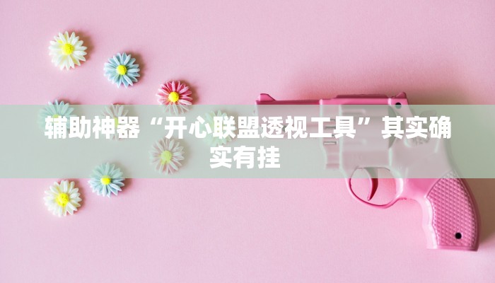 辅助神器“开心联盟透视工具”其实确实有挂 