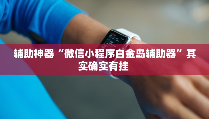 辅助神器“微信小程序白金岛辅助器”其实确实有挂 