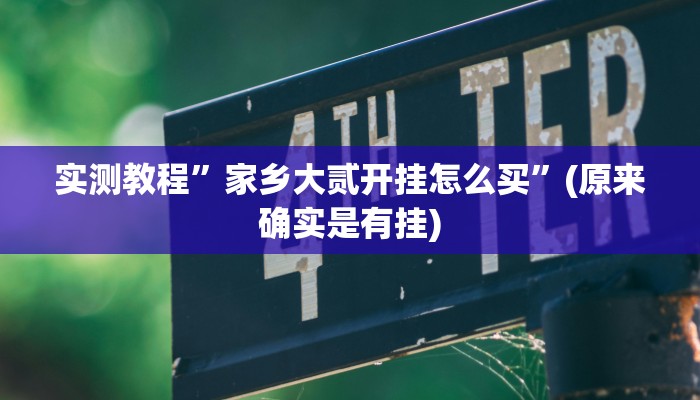 实测教程”家乡大贰开挂怎么买”(原来确实是有挂)