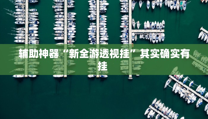 辅助神器“新全游透视挂”其实确实有挂 