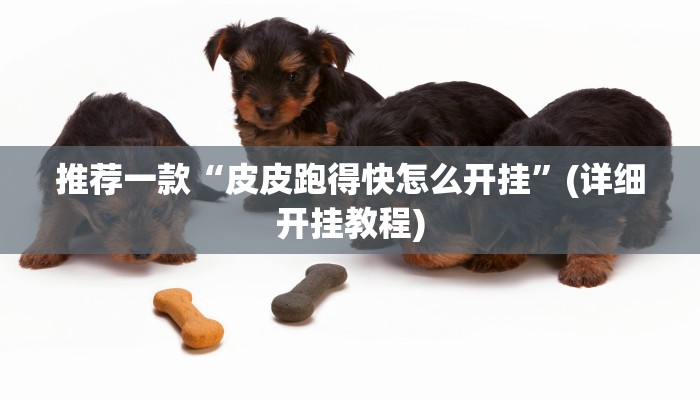 推荐一款“皮皮跑得快怎么开挂”(详细开挂教程)