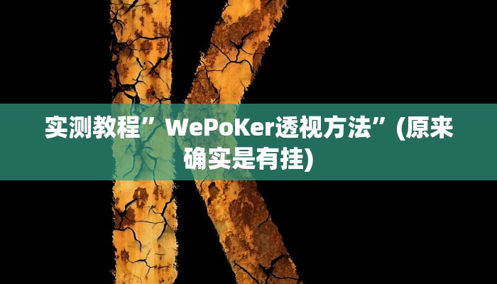 实测教程”WePoKer透视方法”(原来确实是有挂)