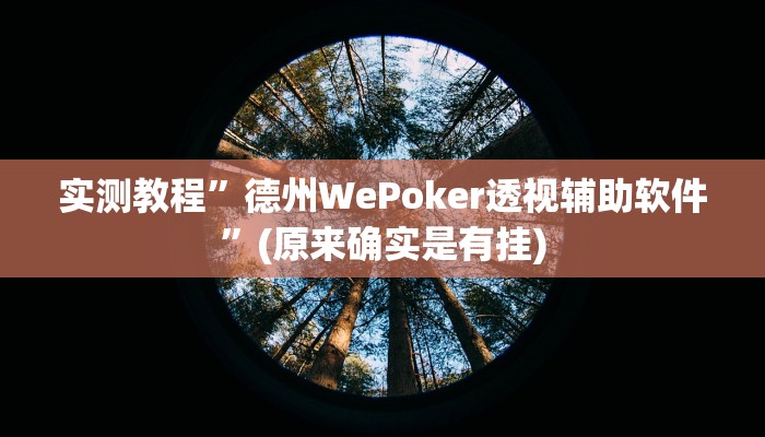 实测教程”德州WePoker透视辅助软件”(原来确实是有挂)