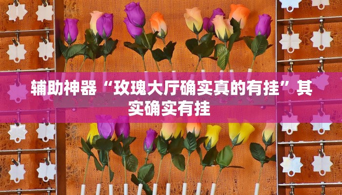 辅助神器“玫瑰大厅确实真的有挂”其实确实有挂 