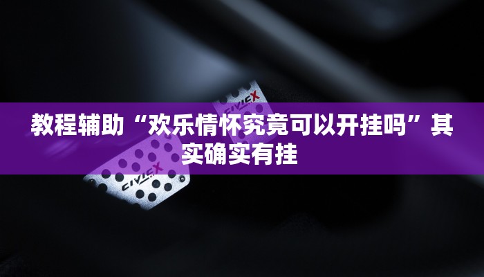 教程辅助“欢乐情怀究竟可以开挂吗”其实确实有挂 