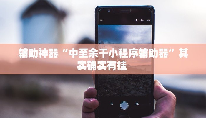 辅助神器“中至余干小程序辅助器”其实确实有挂 