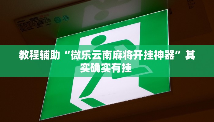 教程辅助“微乐云南麻将开挂神器”其实确实有挂 