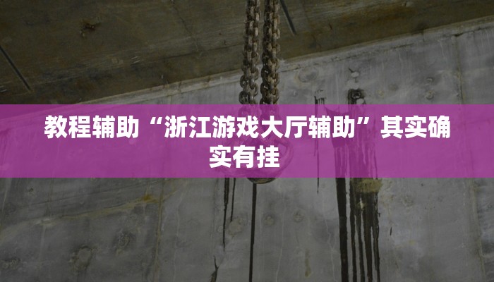 教程辅助“浙江游戏大厅辅助”其实确实有挂 
