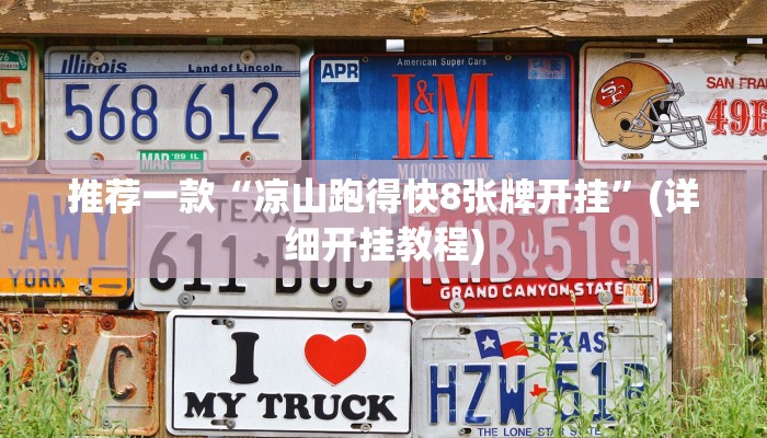推荐一款“凉山跑得快8张牌开挂”(详细开挂教程)